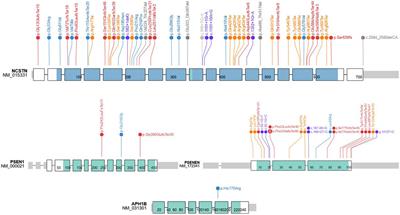 The Genomic Architecture of Hidradenitis Suppurativa—A Systematic Review